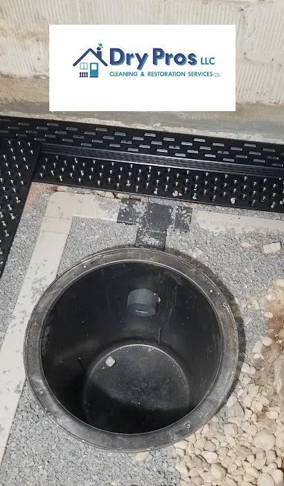 Dry Pros LLC Cleaning & Restoration Services Picture 7