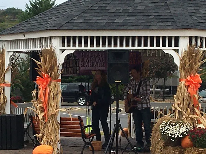 SERVPRO of Sevier, Jefferson & Cocke Counties Picture 9