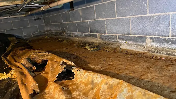 Secure Restoration Picture 1