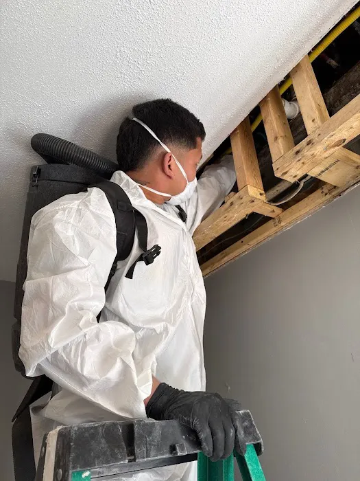 Secure Restoration Picture 8