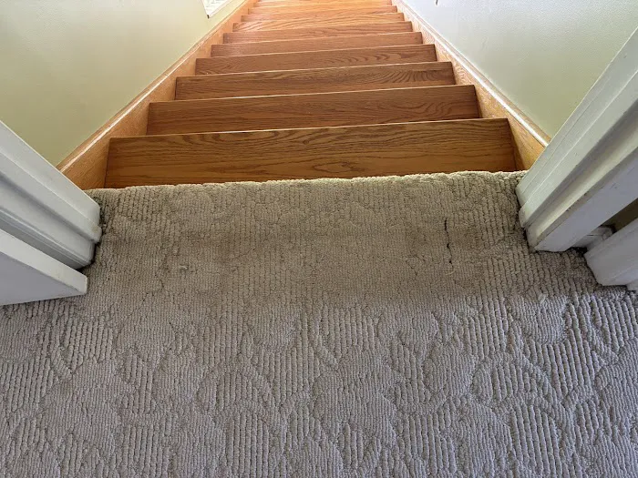 Stanley Steemer Picture 2