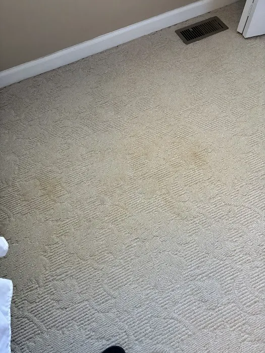 Stanley Steemer Picture 3