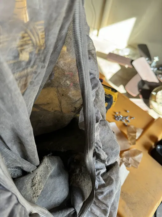 Stanley Steemer Picture 10