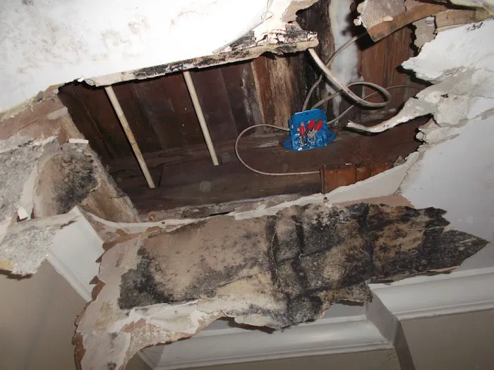 SERVPRO of Asheville Picture 7