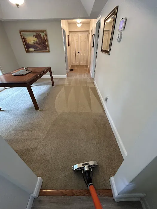 Elevation Restoration & Floor Cleaning Picture 3