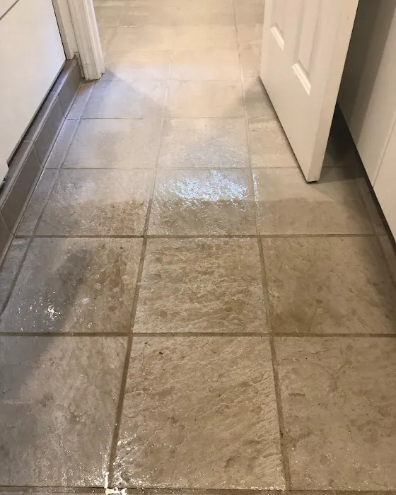 Elevation Restoration & Floor Cleaning Picture 9