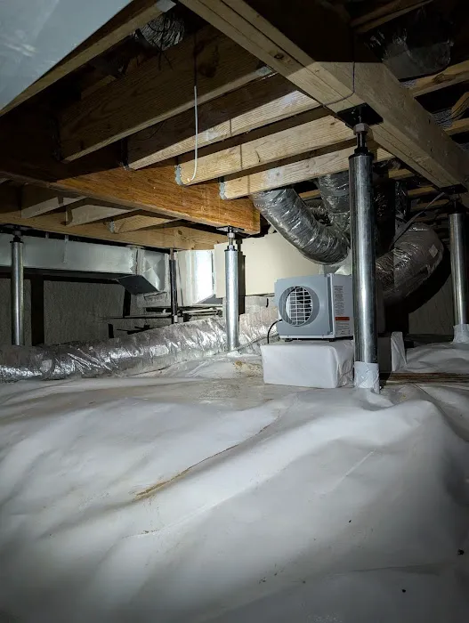 Crawl Space Brothers Picture 4