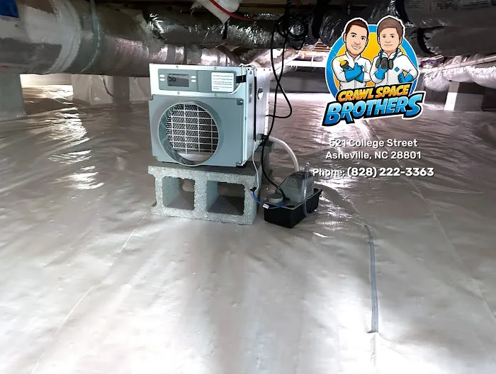 Crawl Space Brothers Picture 6