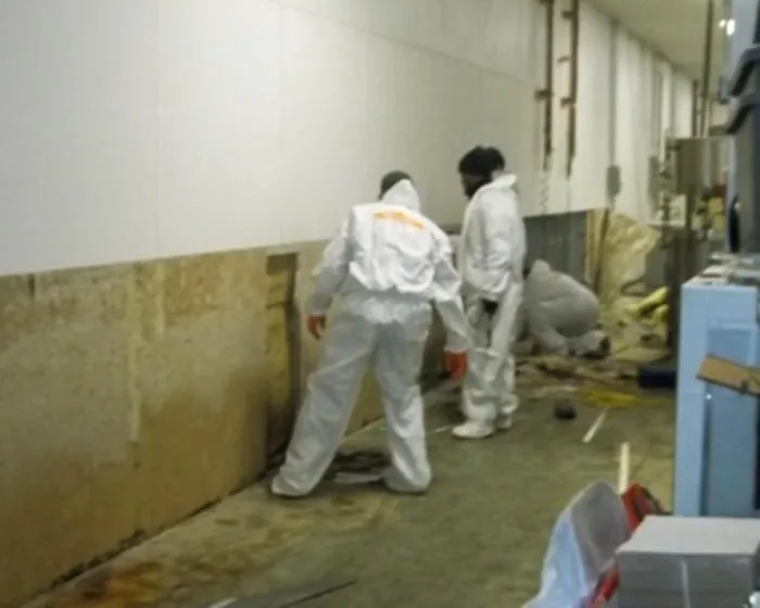 SERVPRO of Hendersonville and Lake Lure Forest City Picture 8