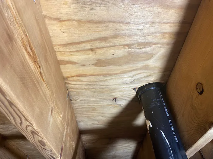 Greenville Crawl Space Encapsulation Picture 4