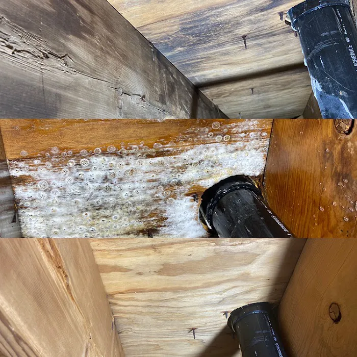 Greenville Crawl Space Encapsulation Picture 5