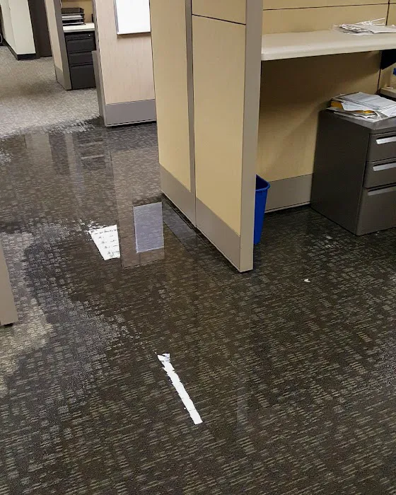 SERVPRO of Maury/Giles Counties Picture 6