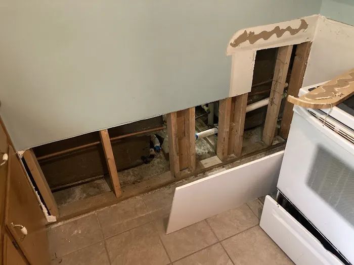 Mold Busters Picture 3