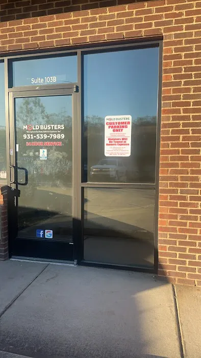 Mold Busters Picture 1