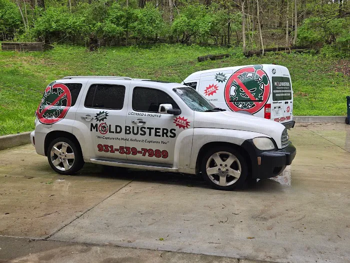 Mold Busters Picture 2