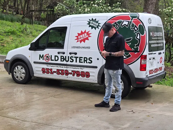 Mold Busters Picture 4