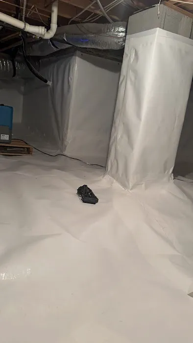 Mold Busters Picture 5