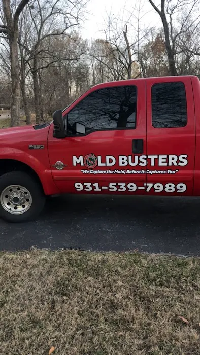 Mold Busters Picture 8
