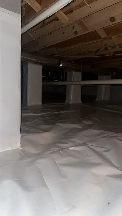 Mold Busters Picture 7