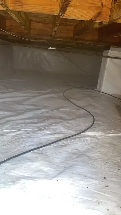 Mold Busters Picture 9