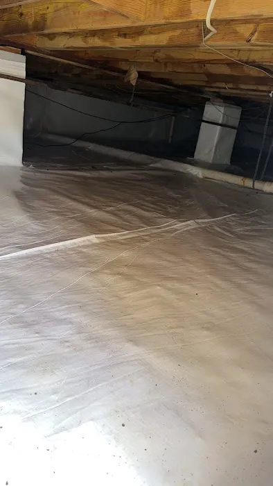 Mold Busters Picture 10