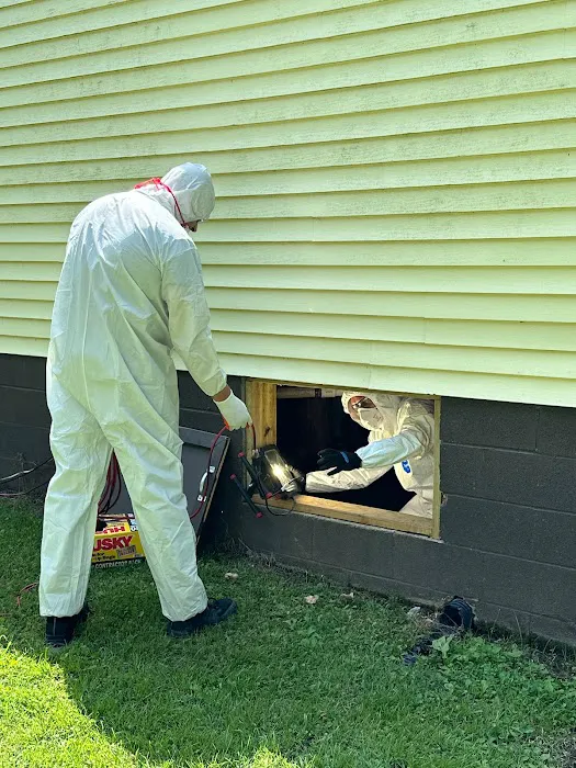 ProDry Restoration Inc. Picture 5