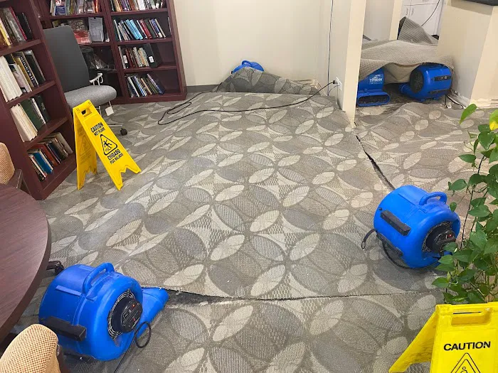 ProDry Restoration Inc. Picture 8