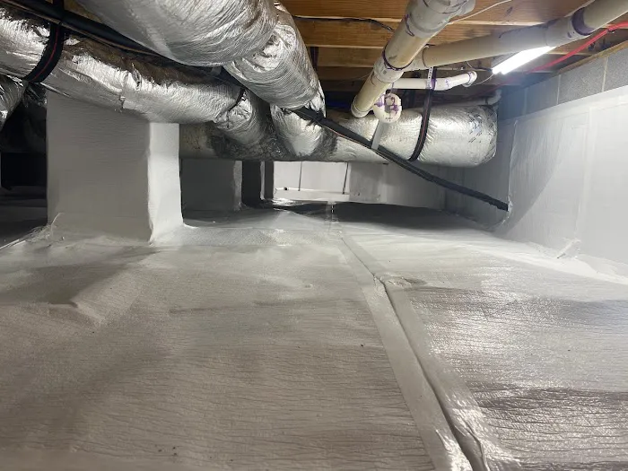 Clean Crawlspace Picture 3