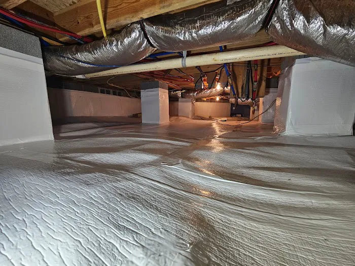 Clean Crawlspace Picture 2