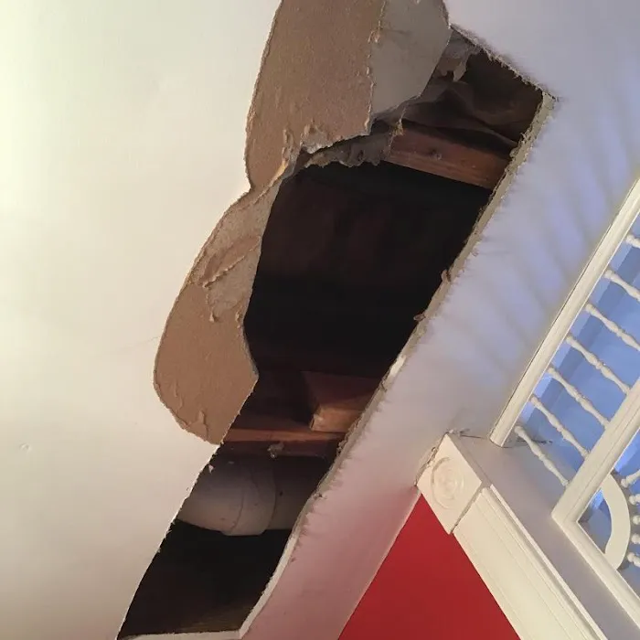 Roto Rooter Plumbing and Drain Picture 4