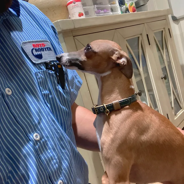 Roto-Rooter Plumbing & Drain Service Picture 5