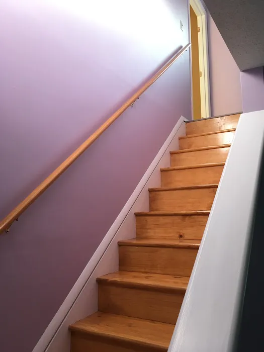 Center Line Painting Picture 9