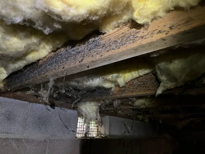 Forever Guard Crawl Space Encapsulation and Repair of Knoxville Picture 7
