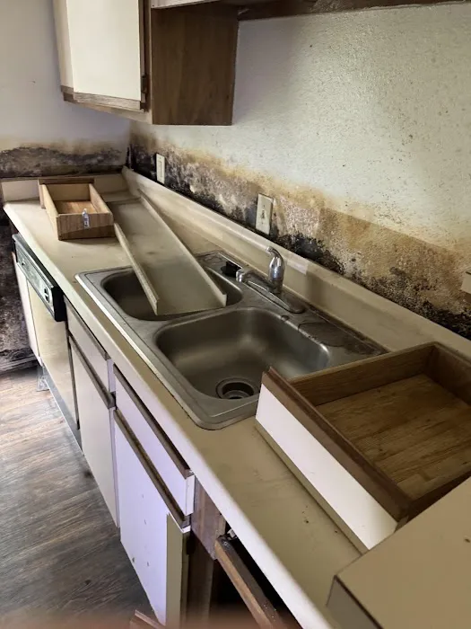 RestoPros of Knoxville Picture 1