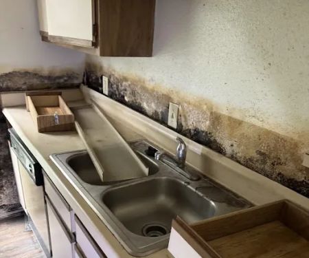 RestoPros of Knoxville