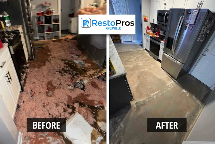 RestoPros of Knoxville Picture 9