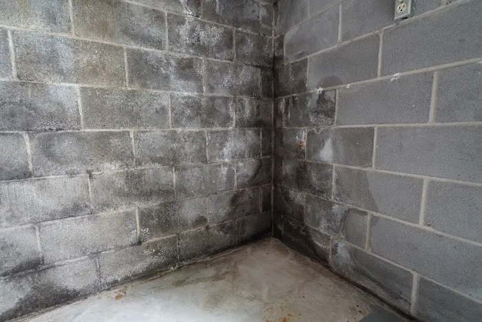 AFS Foundation & Waterproofing Specialists Picture 6