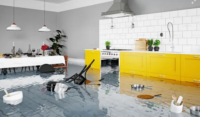 Restoration Services Unlimited. Picture 2