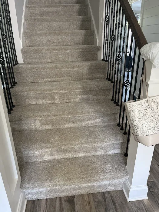 Stanley Steemer Picture 4