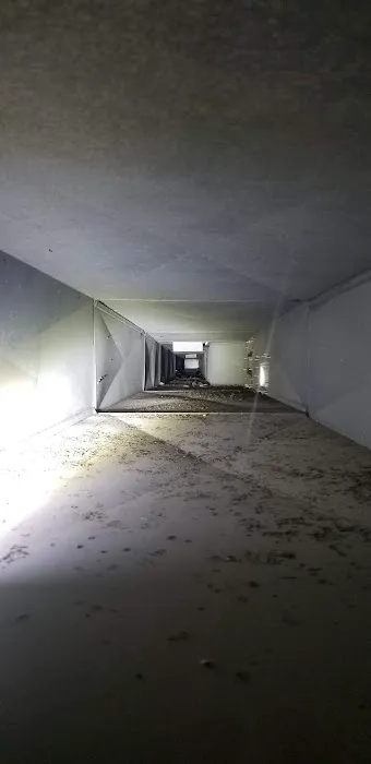 Stanley Steemer Picture 9