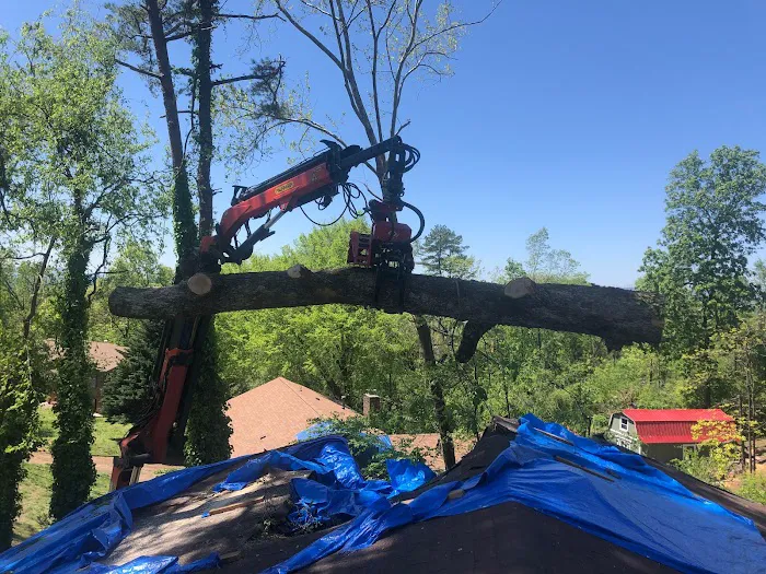 Patriot Restoration Picture 4