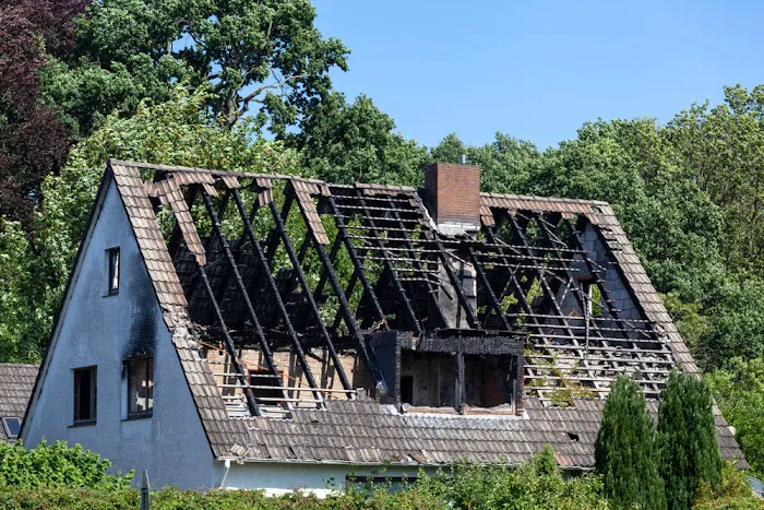 Patriot Restoration Picture 9