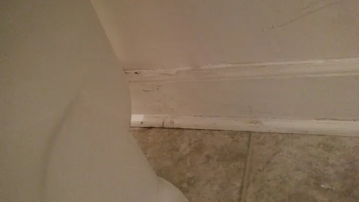 ServiceMaster Of Spartanburg Picture 2