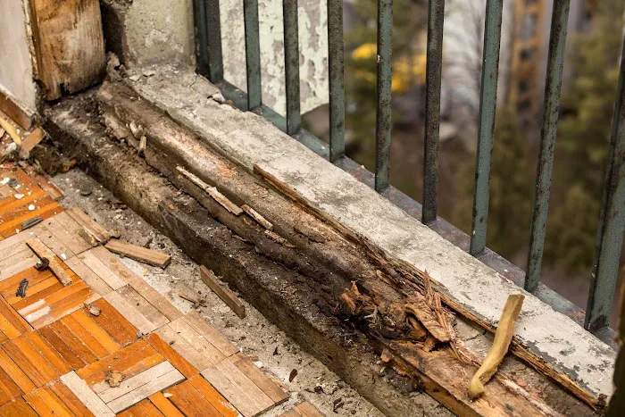 ASAP Restoration Picture 2