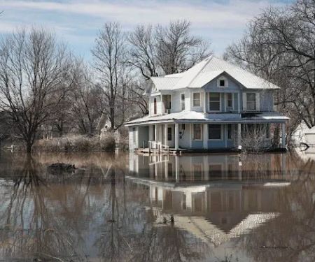 Contractors Of Nashville, Inc