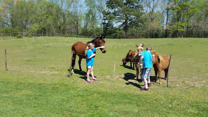 Thumbprint Development Picture 1