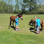 Thumbprint Development