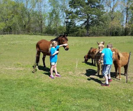 Thumbprint Development