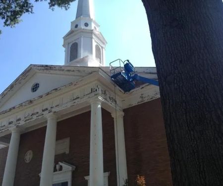 Mark Forsythe's Painting