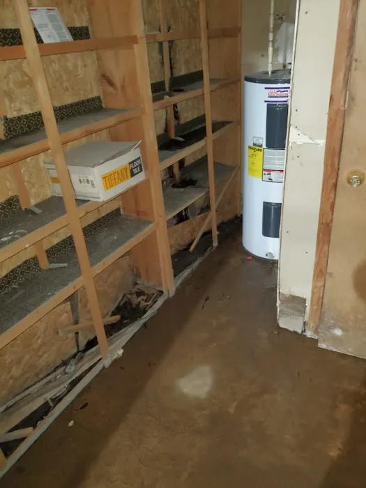 Water Mold Removal Picture 1